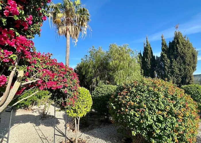 ヴィラ Nicola By Check-in Portugal